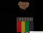 L_V20d4068 A16q216.1 R827 dM la f74.JPG L_V20d4068 A16q216.1 R827 dM la f74
